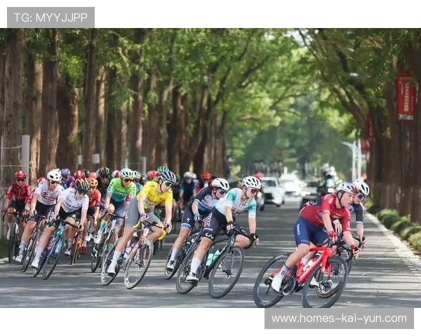 自行车赛疯狂冲线：激情与极速的极致碰撞